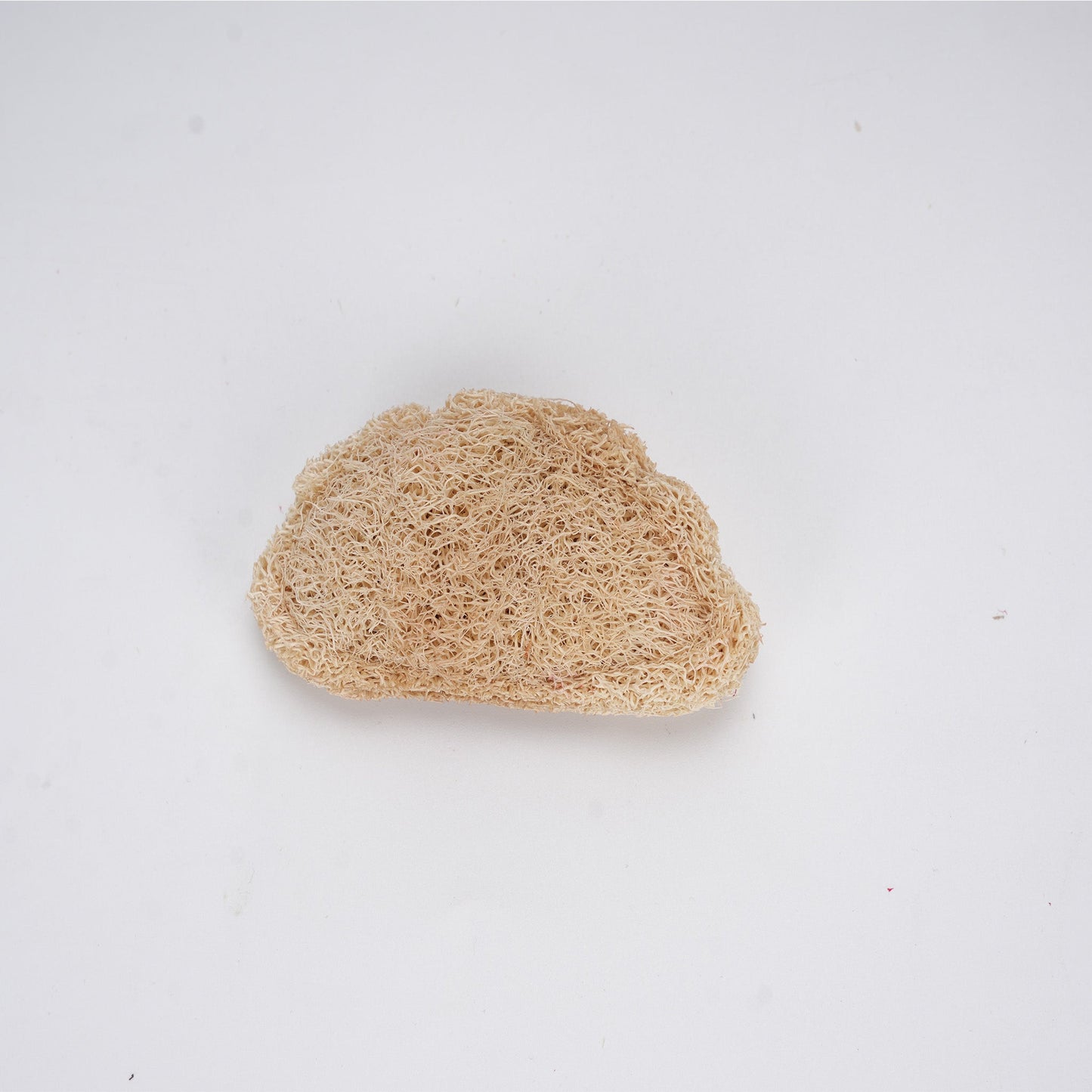 Give Your Pet Joy, Even When You're Away!--Natural Loofah Catnip Pet Toys Buy 2 get 1